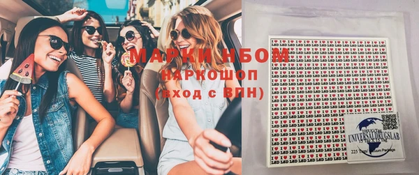 прущие грибы Арсеньев