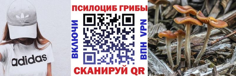 где купить наркотик  Белоярский  маркетплейс клад  Псилоцибиновые грибы MAGIC MUSHROOMS 